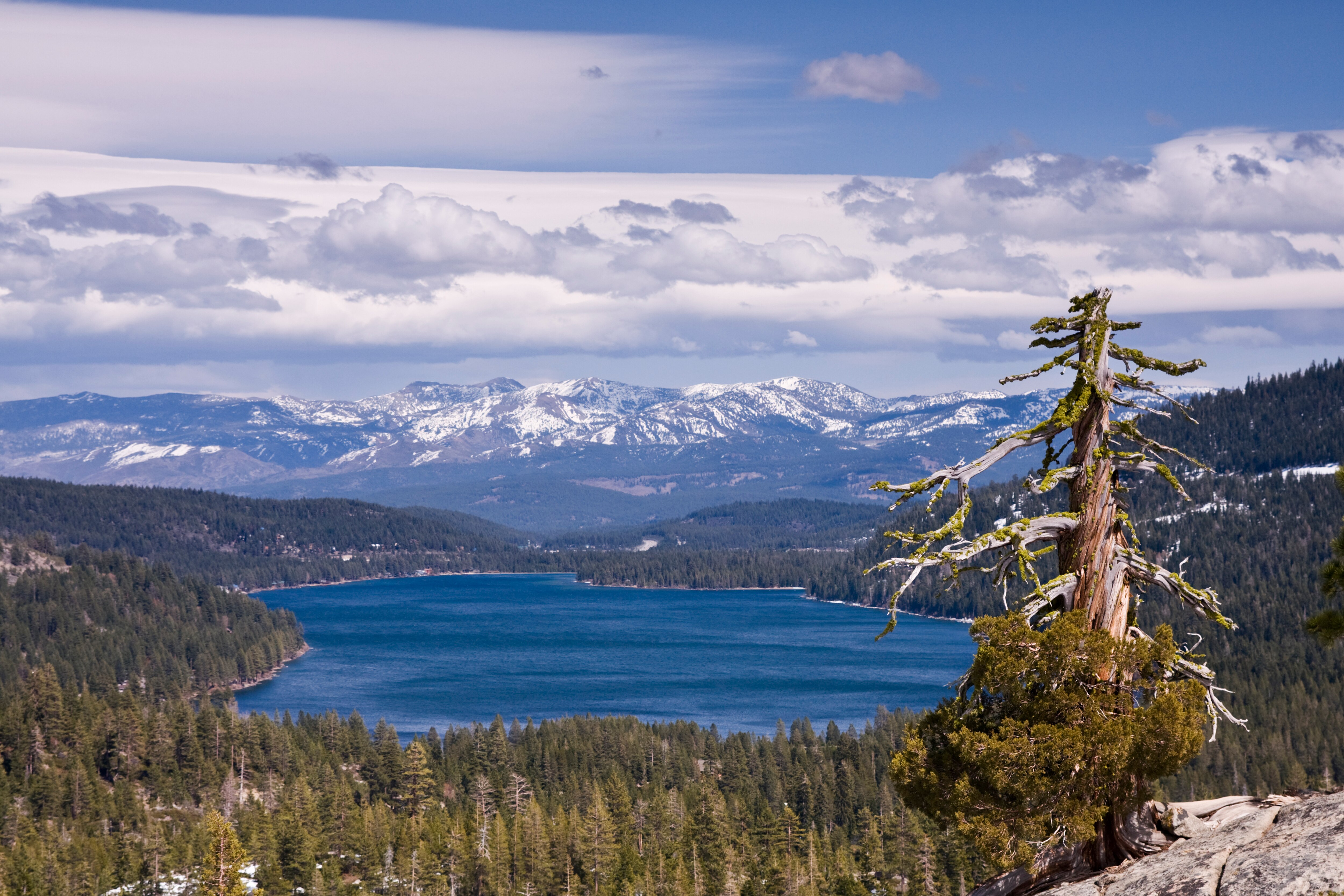 Donner Pass