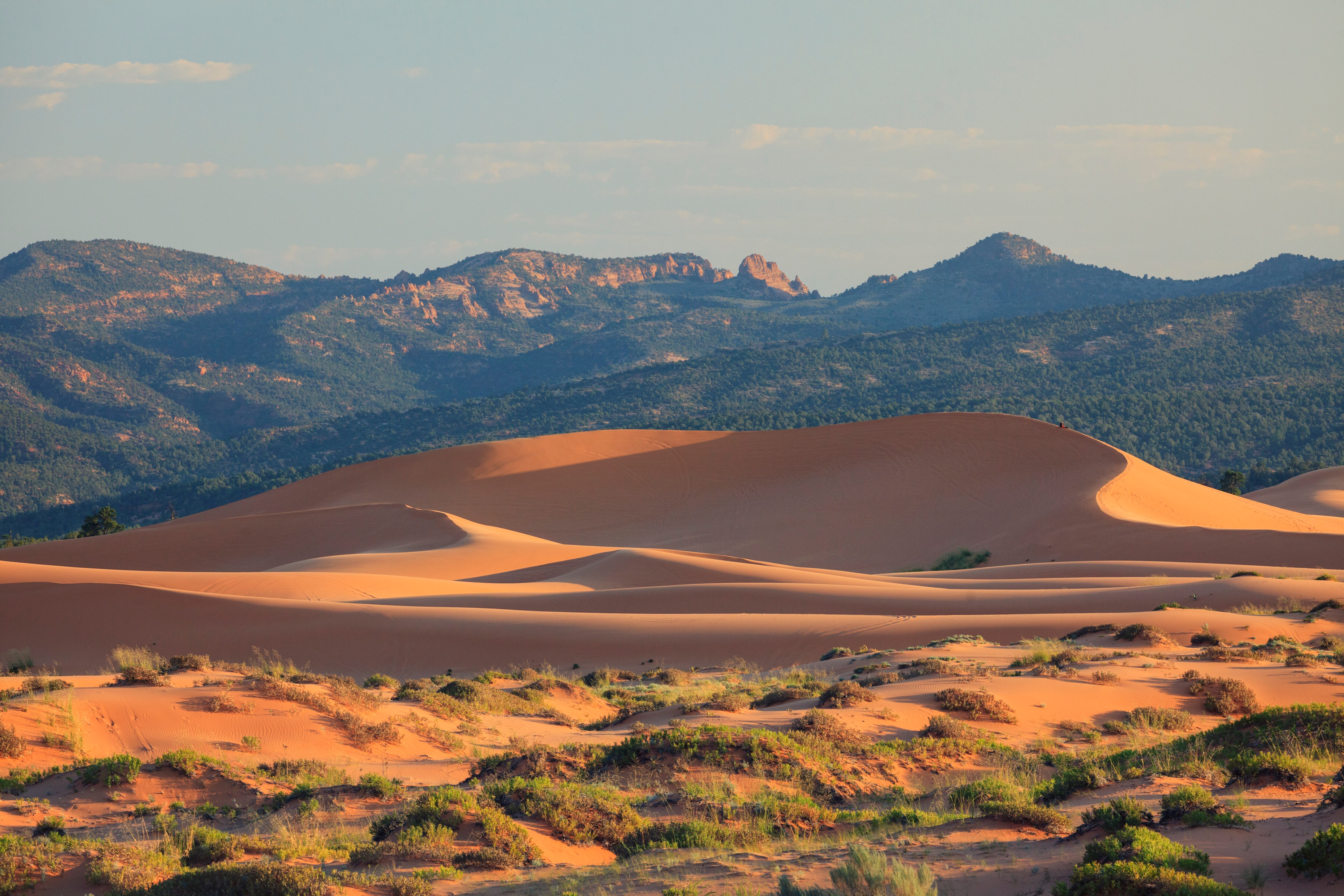 Coral Pink Sand Dunes State Park