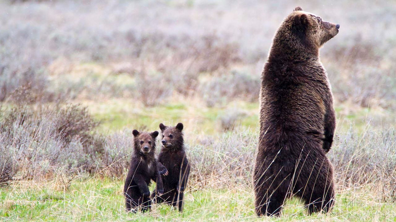 The GWDC gets some of its residents at an early age. 