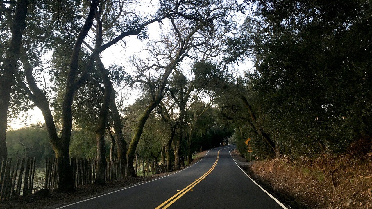 The drive to Armstrong Redwoods State Nature Reserve passes through wine country.