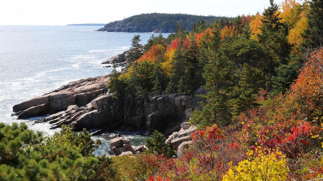 Acadia National Park's shoreline explodes with color in fall. Photo by Charles Williams